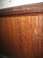 wainscoting